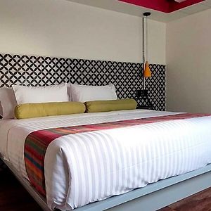Suite Superior